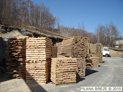 Suha bukova polusamica i bukovi elementi - 04